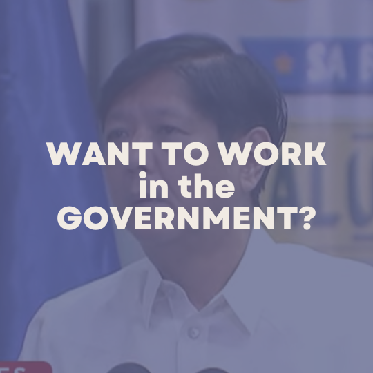 want to work in the government?